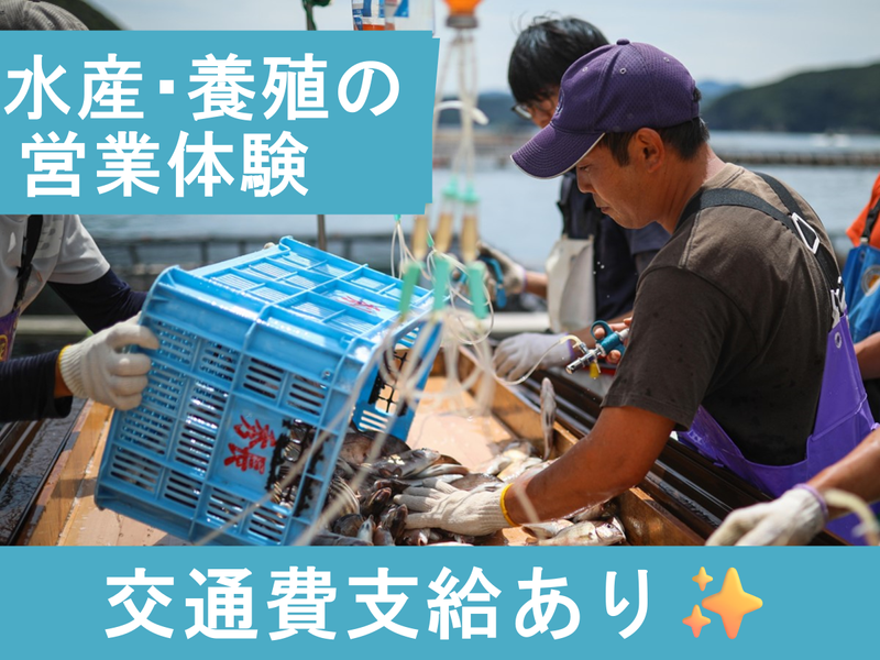 【28卒】水産・養殖部門の営業体験(須崎市開催・交通費あり)