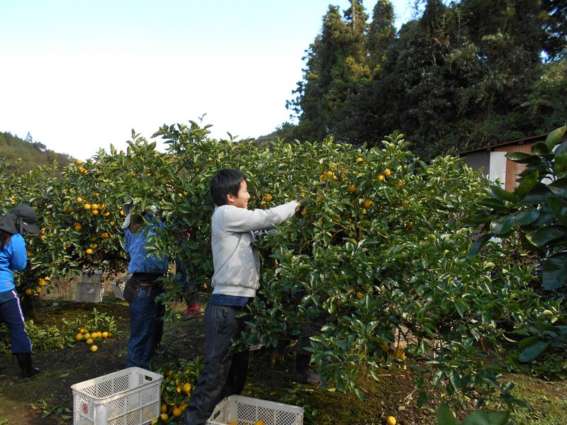 株式会社菜果野アグリのアルバイト・バイト求人情報-02