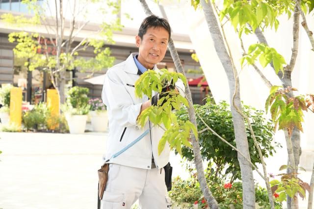 株式会社片倉キャロンサービスのアルバイト・バイト求人情報-10
