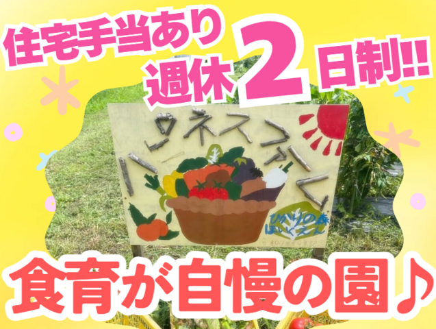 株式会社シマモト　ひかりの森保育園の求人・転職情報
