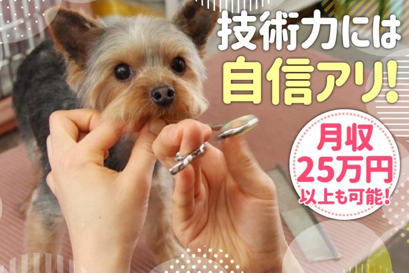 株式会社SAYONOの求人・転職情報