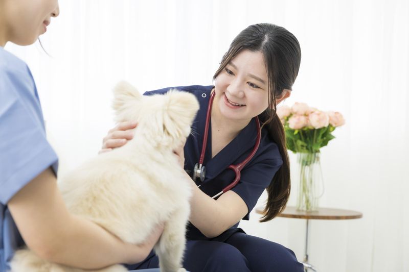 株式会社わんにゃん応援隊の求人・転職情報