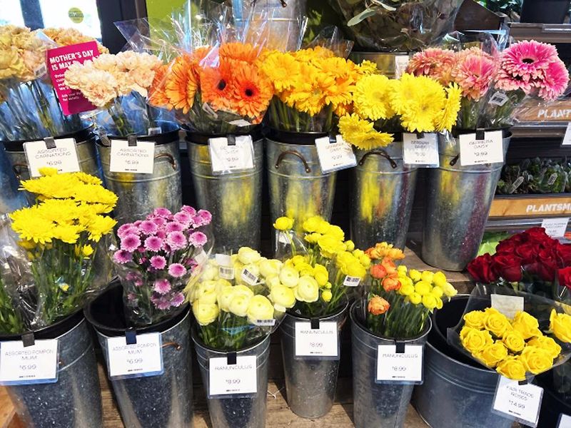 花ファクトリー伊丹駅前店　(株)ジェイアンドエフのアルバイト・バイト求人情報-05