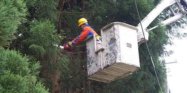 株式会社こうこくの求人・転職情報