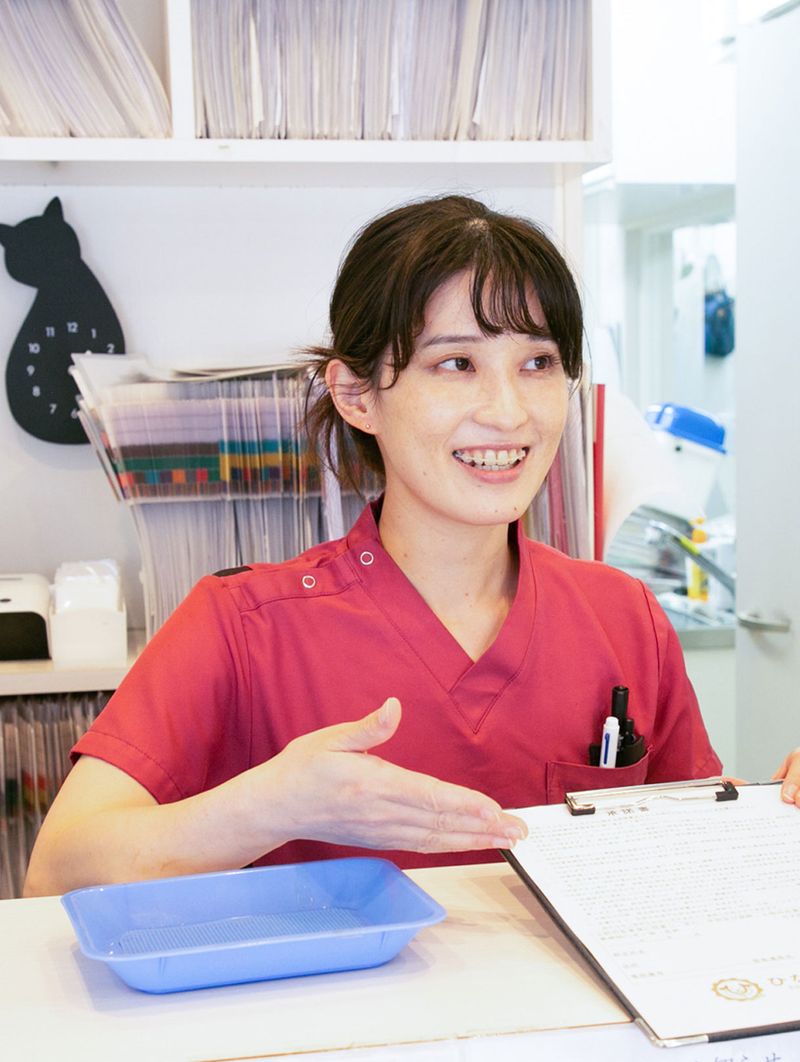 ひなた動物病院の求人・転職情報