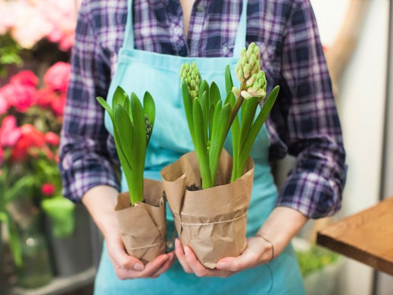 株式会社　フラワーワークス鳴子の求人・転職情報