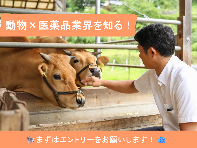 松田医薬品株式会社