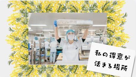 ワタキューセイモア株式会社の求人・転職情報