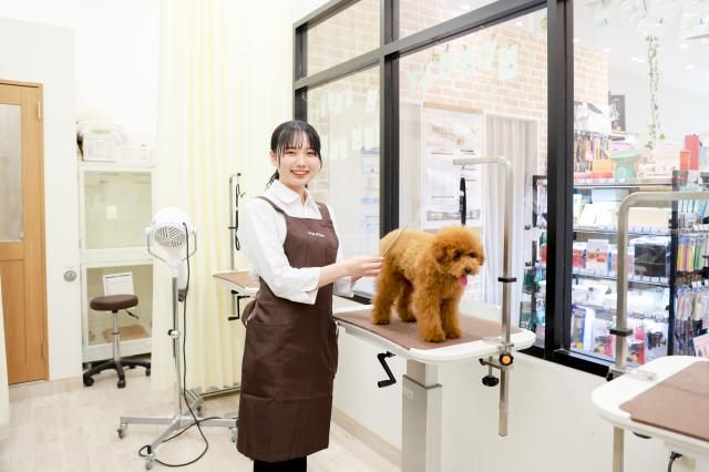 株式会社AHB Dog Lovers’ Suites at Tokyo Bayの求人情報