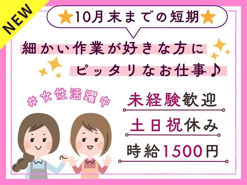 パーソルフィールドスタッフ株式会社　千葉・埼玉コーディネートセンター(埼玉)/BR26-0367800