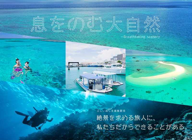 有限会社ぷしぃぬしまの求人・転職情報