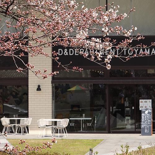 ディアンドデパートメント株式会社の求人・転職情報