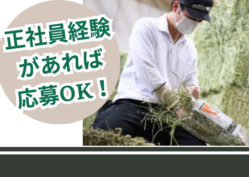 マペット株式会社の求人・転職情報