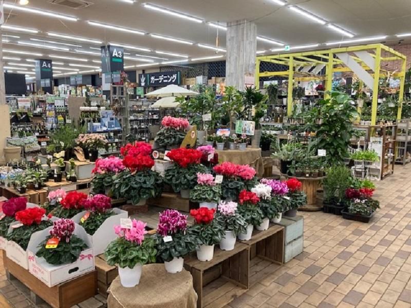 ロイヤルホームセンター株式会社　松戸店のアルバイト・バイト求人情報-02