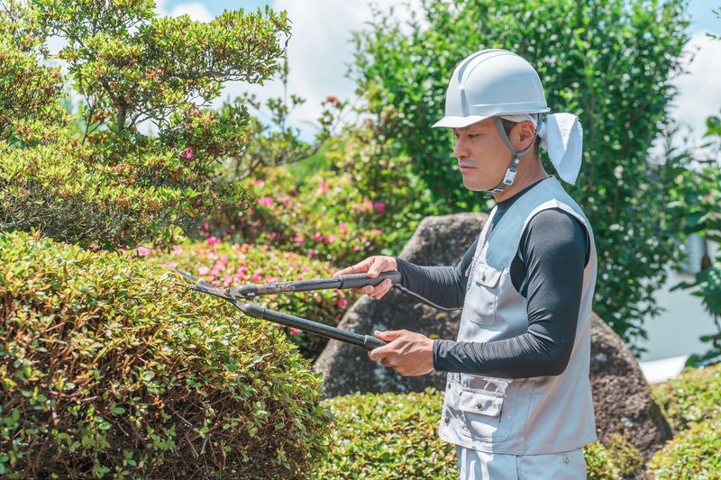 株式会社北村造園土木のアルバイト・バイト求人情報-03