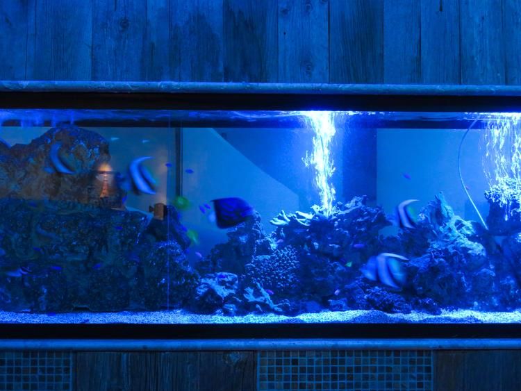 株式会社skM Ryuduki Private & Party Spaceのアルバイト・バイト求人情報-03