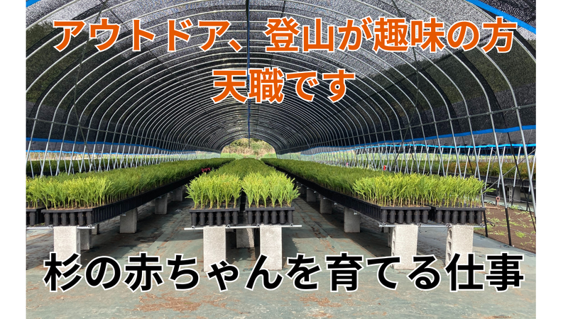 協栄木材株式会社の求人・転職情報