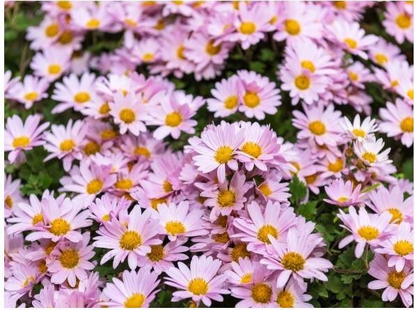 浜松斎場のアルバイト・バイト求人情報-02