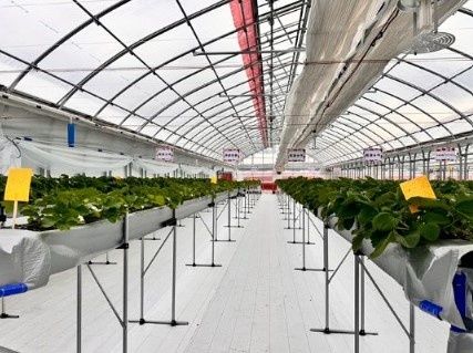 株式会社サン・グレイスの求人・転職情報