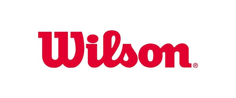 アメアスポーツジャパン株式会社の求人・転職情報