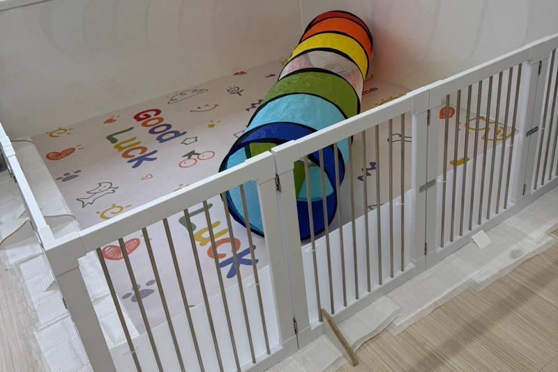 DogSalon パレハ前橋店の求人・転職情報-05