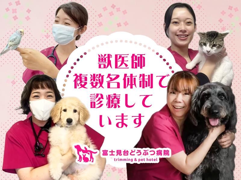 株式会社PET LIFEの求人・転職情報