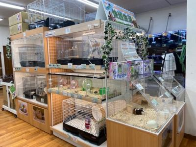 DCM一宮店 ペットコーナーのアルバイト・バイト求人情報-04