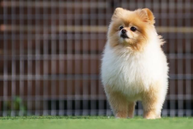 横浜セントラルビソー　中区富士見町のアルバイト・バイト求人情報-07