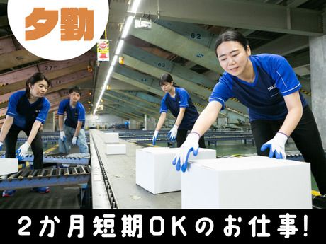 SGフィルダー株式会社 大阪エリア　/W23812-213