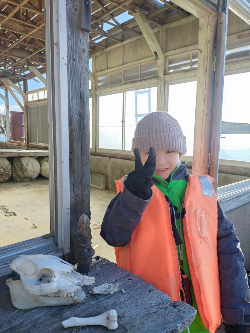 ＺＥＮ株式会社