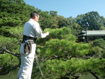 株式会社石武造園の求人・転職情報