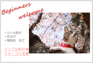 株式会社エイブル・スタッフ