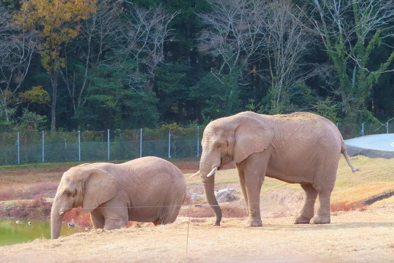 東山動植物園(請負先)のアルバイト・バイト求人情報-02