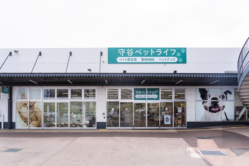 株式会社ファニメディック-0005の求人・転職情報