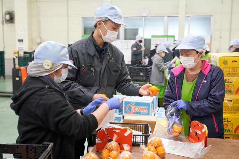 株式会社芋銀-0002の求人・転職情報
