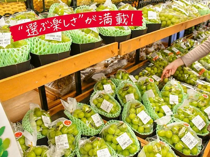 JAえちご中越農産物直売所ただいまーとのアルバイト・バイト求人情報-03