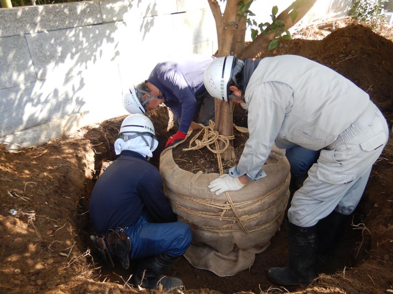 株式会社佐藤興業の求人・転職情報