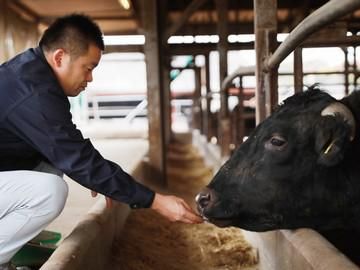 株式会社　下村畜産食肉の求人情報