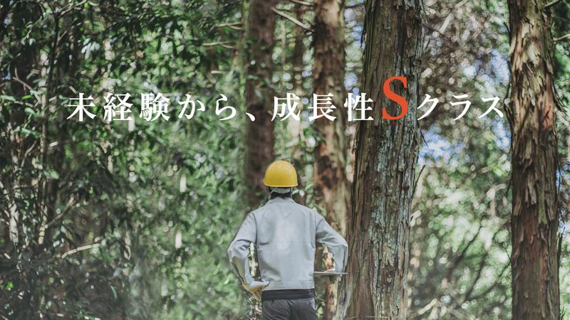 有限会社渡辺林業土木の求人・転職情報