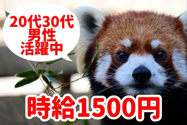 トータルテック株式会社のアルバイト・バイト求人情報-16