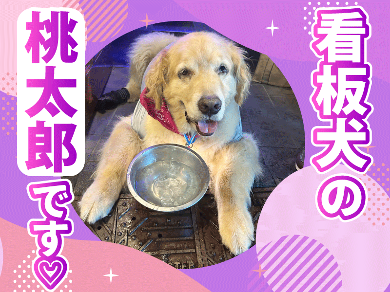Dining&Bar星のアルバイト・バイト求人情報-03