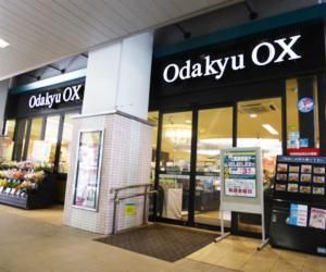 Odakyu OX ~uX