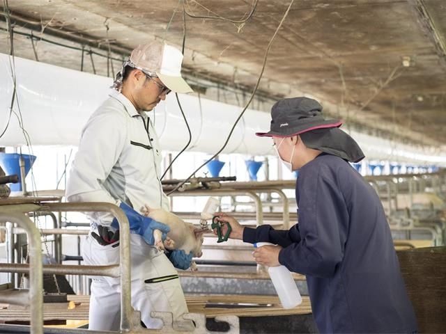 JA木更津市農業無料職業紹介所のアルバイト・バイト求人情報-03