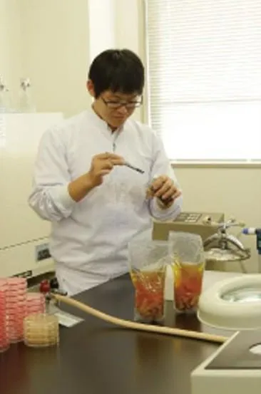 株式会社美濃吉食品の求人・転職情報