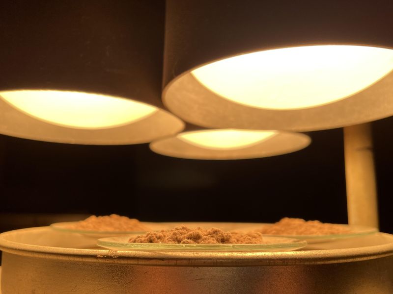 滲透工業姫路株式会社の求人・転職情報