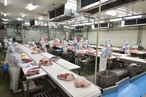 志布志畜産株式会社の求人・転職情報