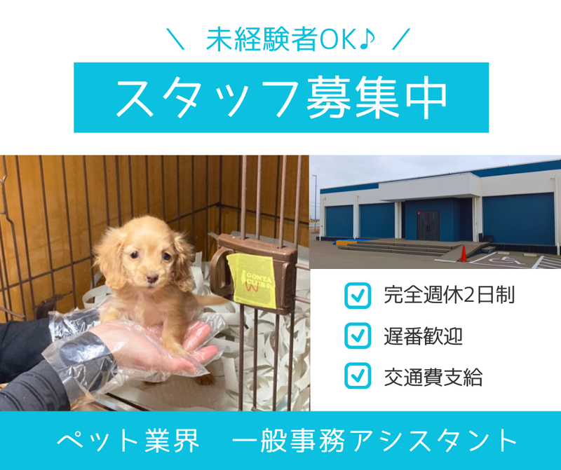 株式会社ベッツリンクの求人・転職情報