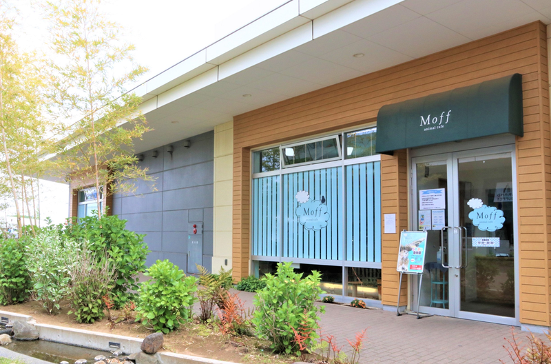 Moff animal cafe　イオンモール幕張新都心のアルバイト・バイト求人情報-03