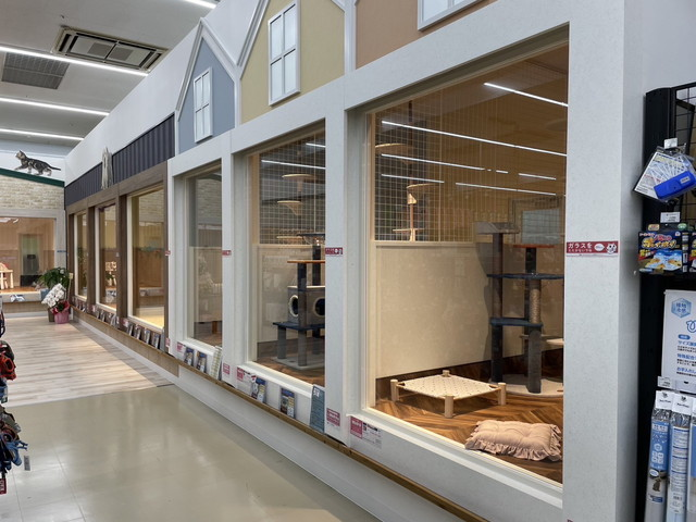 ワンラブ ホームワイドプラス都城店のアルバイト・バイト求人情報-04