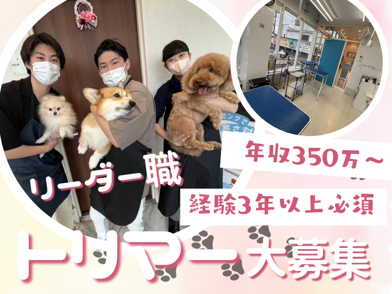 モリヤ動物病院の求人・転職情報